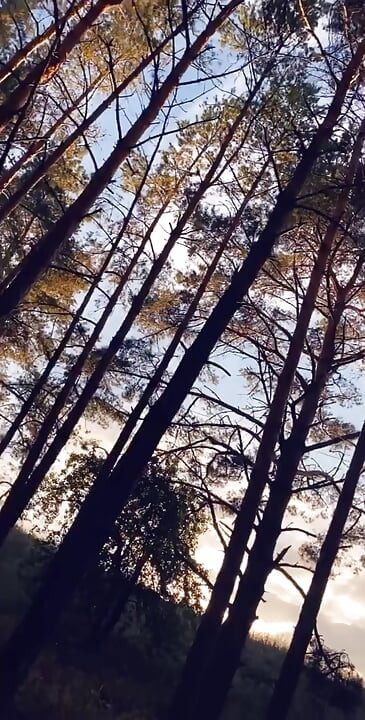 Drobna blondynka została publicznie zerżnięta głęboko w cipkę i pokryta spermą w lesie