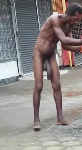 Black cock