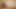 Trans Kelsey Masters Sucking Huge Cock in Bedroom
