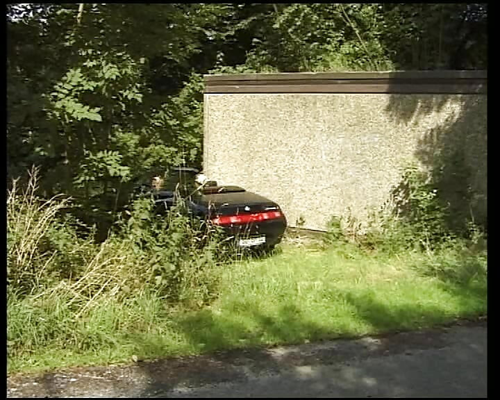 Une cougar allemande brutale chevauche une grosse dans la nature