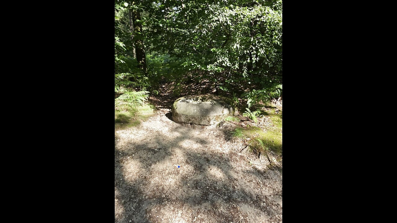 UDA MILF gets fucked hard at small old German bunker in public