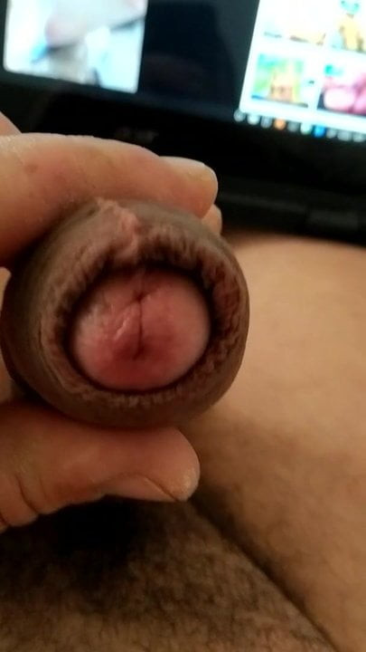 uncut cock