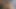オイリーイーマリーお尻マッサージ - ヴェロニカ・サンダース