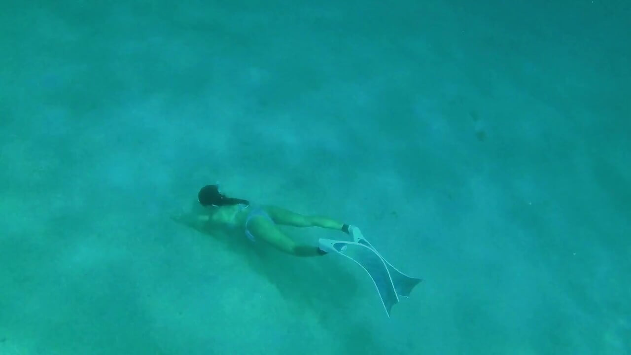 The Little Mermaid