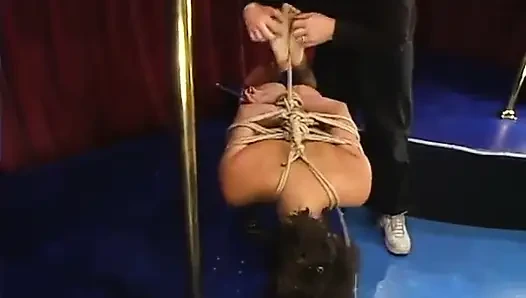 Mayamodels