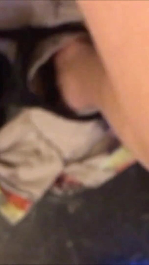 Worship My Cummy Pussy & Piss | Clip 1