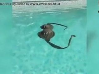 Kolam renang panas Amanda Cerny