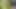 Wife Doggy Fucking and Deep Sucking in Forest - Cum Inside