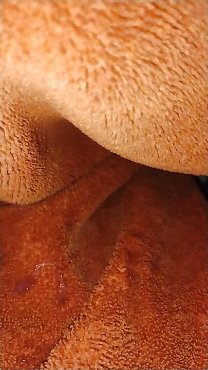 Hot shot in the blanket