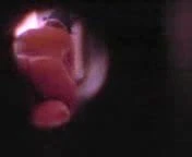 greeksss