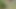 Blonde bitch spied on while pissing outdoors