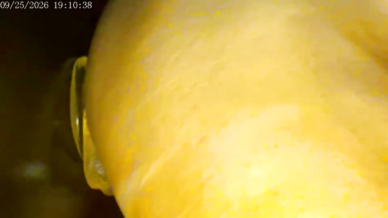 9-25-26 Cam 2 Compilation Friday Friends Day Toy Ride Thank You for Driving My Ranking and Revenue Love to You All.