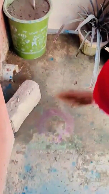 Pregled videozapisa