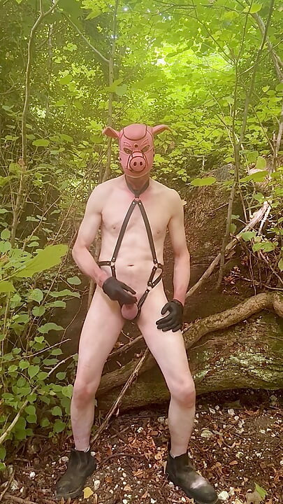 Versauter mann im wald lässt seinen penis kommen