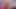 Lezbiyen xxxmas dildo sikişi ve 31 talimatı