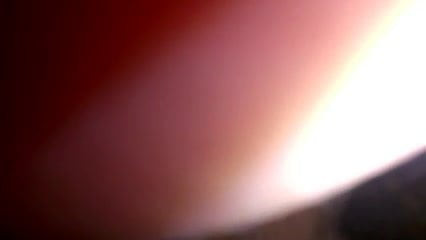Amateur