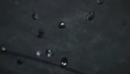Alexs horoz benim için patlar