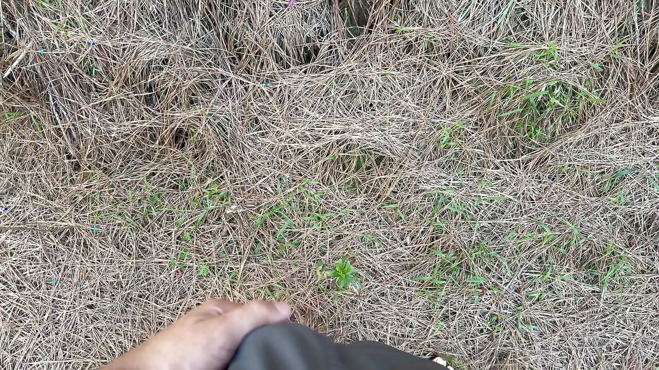 Šukání a stříkání venku v parku s novou růžovou teniskou Adidas od manželky. První výstřik na něj