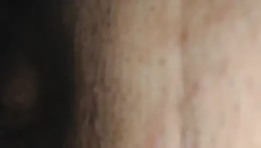 the bull fucking my wife's pussy.