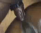 Bonne Baise bareback