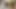Bratty Asian Raya Nguyen Breaks Into The Wrong House, Gets Knocked Out By Doctor, & Ends Up Making Her 1st Porno EVER!!!
