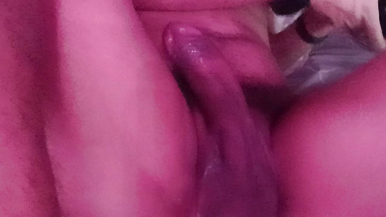calentar mi leche día 1643