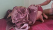 Pregled videozapisa