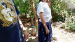 Pregled videozapisa