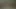 çok eski nine beyaz KEDİ