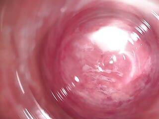 Internal Camera deep inside Mia's creamy pussy, Welcome to my vagina