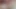 POV I get massaged and fingered by my boyfriend, it goes into double penetration with dildo and his cock