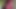 2024 November Eva Summers NSFW Instagram Reels Compilation