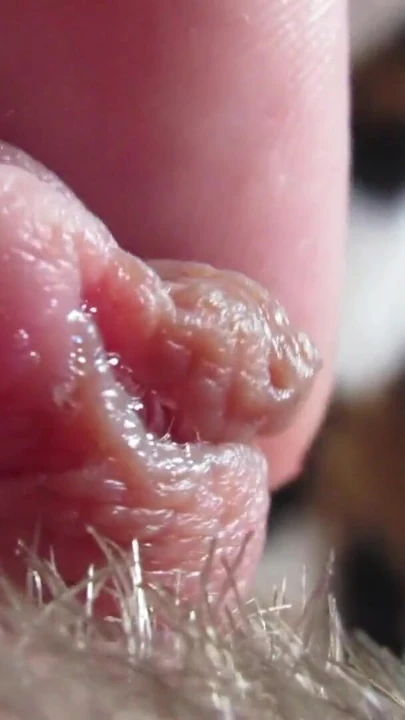 Stunning moment from "Extreme Closeup Pulsating Huge Clitoris FULL VIDEO"