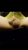 Video-Vorschau