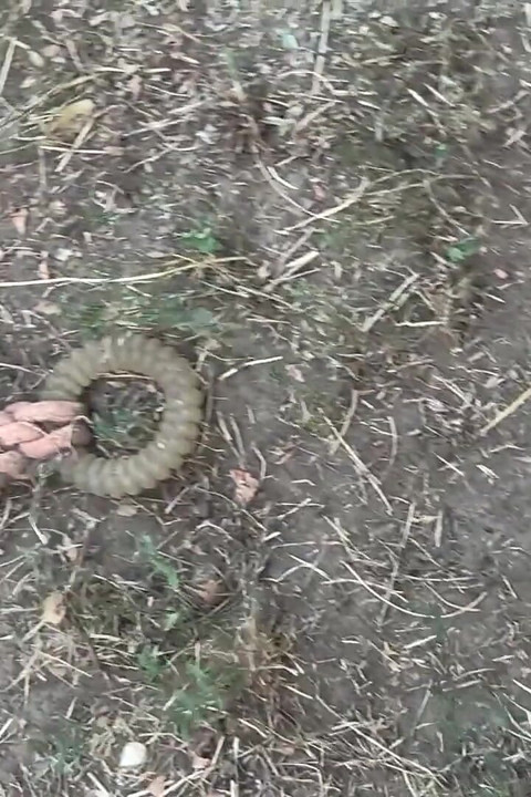 Dirty Feet in the Garden