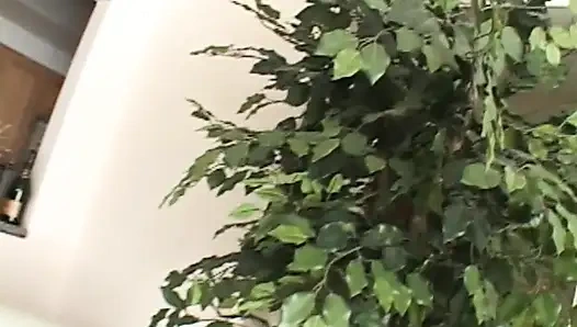 Two Cocks in Pussy Is Always Nice