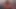 Sinea, Roman'ın doğum günü için hediye olarak kendi bağlı vücudunu veriyor!