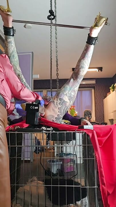 Hooked up legs spread and ready tp pegged