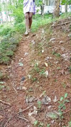 Pratinjau video