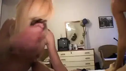 Severler... Primedonne