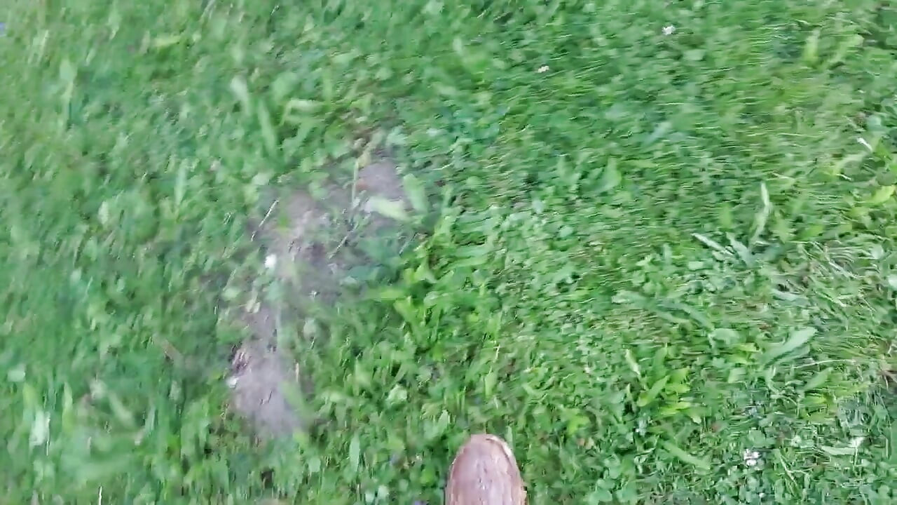 Assista Martina Alsmost nua de 77 anos em seu jardim
