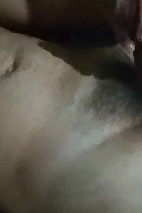 Who Wants My Dick?