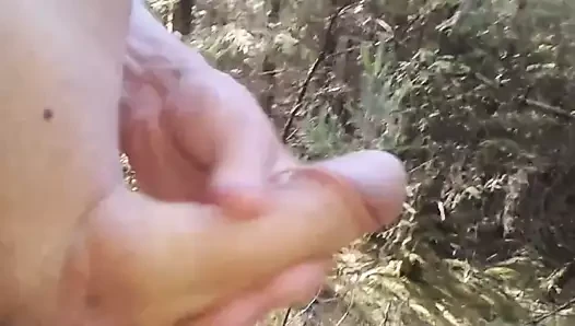 ormanda hızlı masturbasyon yapmak