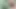 Wild masturbation in the jungle after I did ice