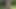 Kaltak sarışın üvey kardeşinin bekaretini alıyor - ateşli üvey kız üniversiteden eve geliyor ve onunkinin ne olduğunu iddia ediyor!