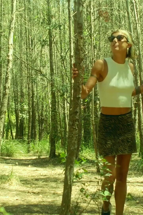 Forest in Gava
