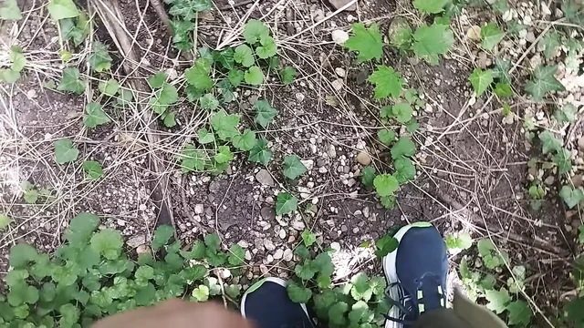 Моча и сперма на улице
