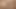 PMV Desert Rose