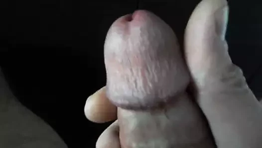 Benim horoz kafamı alay + precum