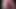 NASTYDADDY Hung Gay Brian Bonds Raw Breeds Daddy Dale Savage